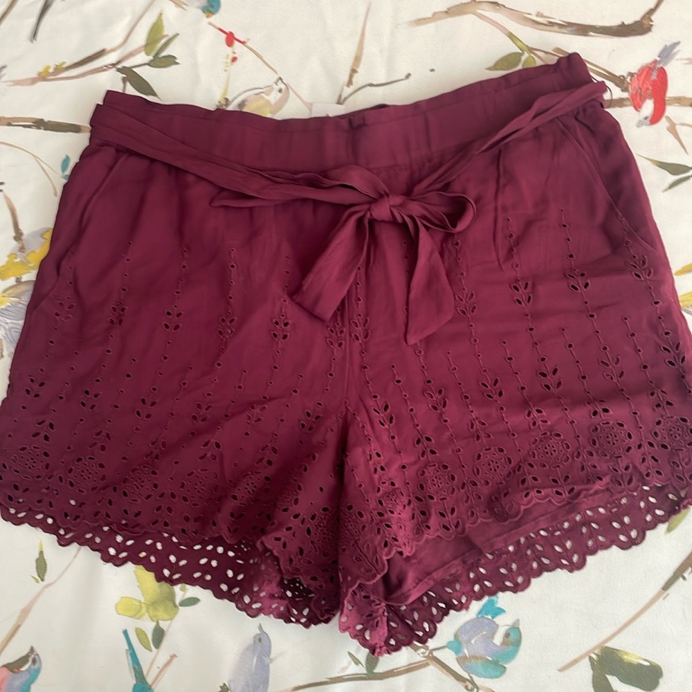 Eyelet Loft Shorts NWT SZ L